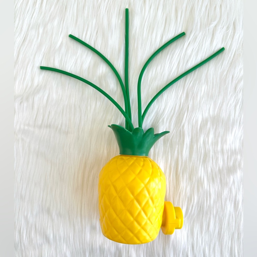 PINEAPPLE WATER TOY